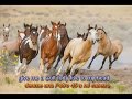 Twenty Wild Horses - Status Quo A&amp;O Lyrics