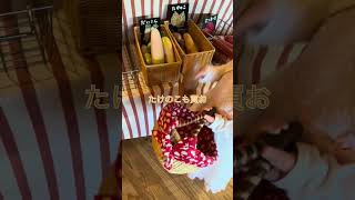 雨の日でも遊べる!おもちゃ美術館