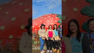 With My As And Cousin And Also My Baby Gianna. 2024