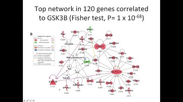 Death 2 Pathways_pt4_Network produced by genes correlated to GSK3B