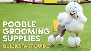 Poodle (All Varieties) Grooming Supplies (Quick Start Guide)