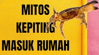 Mitos Jika Kepiting Masuk Rumah Pertanda Apa ?
