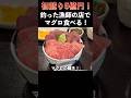 初競り5億円マグロを釣った漁師さんのお店で大間マグロを食べてきた！ #マグロ #大間 #マグロ丼