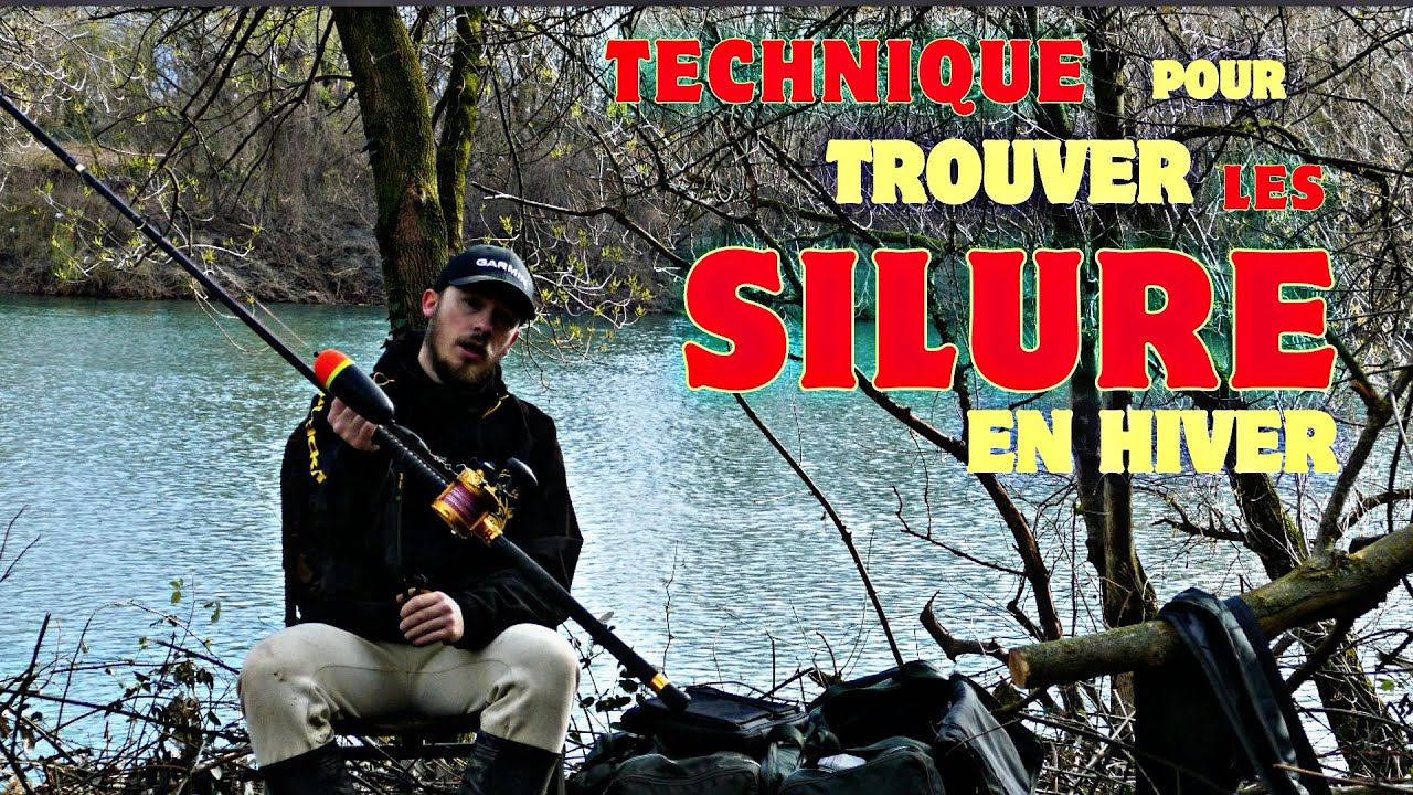 PÊCHE du SILURE du bord en HIVER / on trouve un énorme regroupement de poissons!!