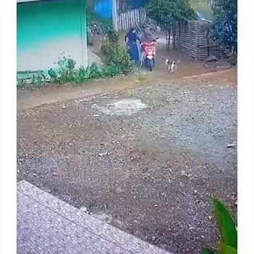 STORY WA 30 DETIK LUCU NGAKAK || BARU AJA 2021 UDAH DIKEJAR ANJING 😂 || STORY WA TERBARU 2021