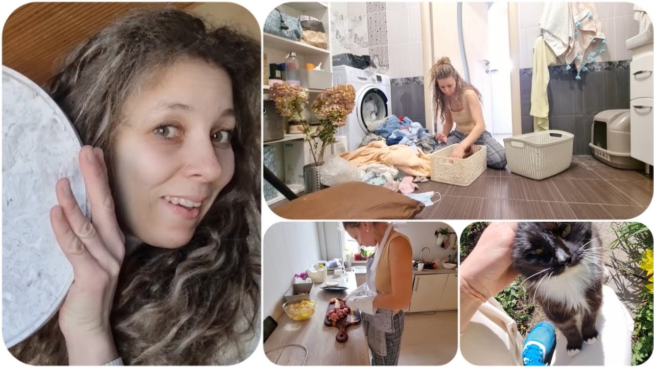 Последние новости: Новая КОШКА, ОГОРОД, УБОРКА ДОМА, БЫТ, РАБОТА ...