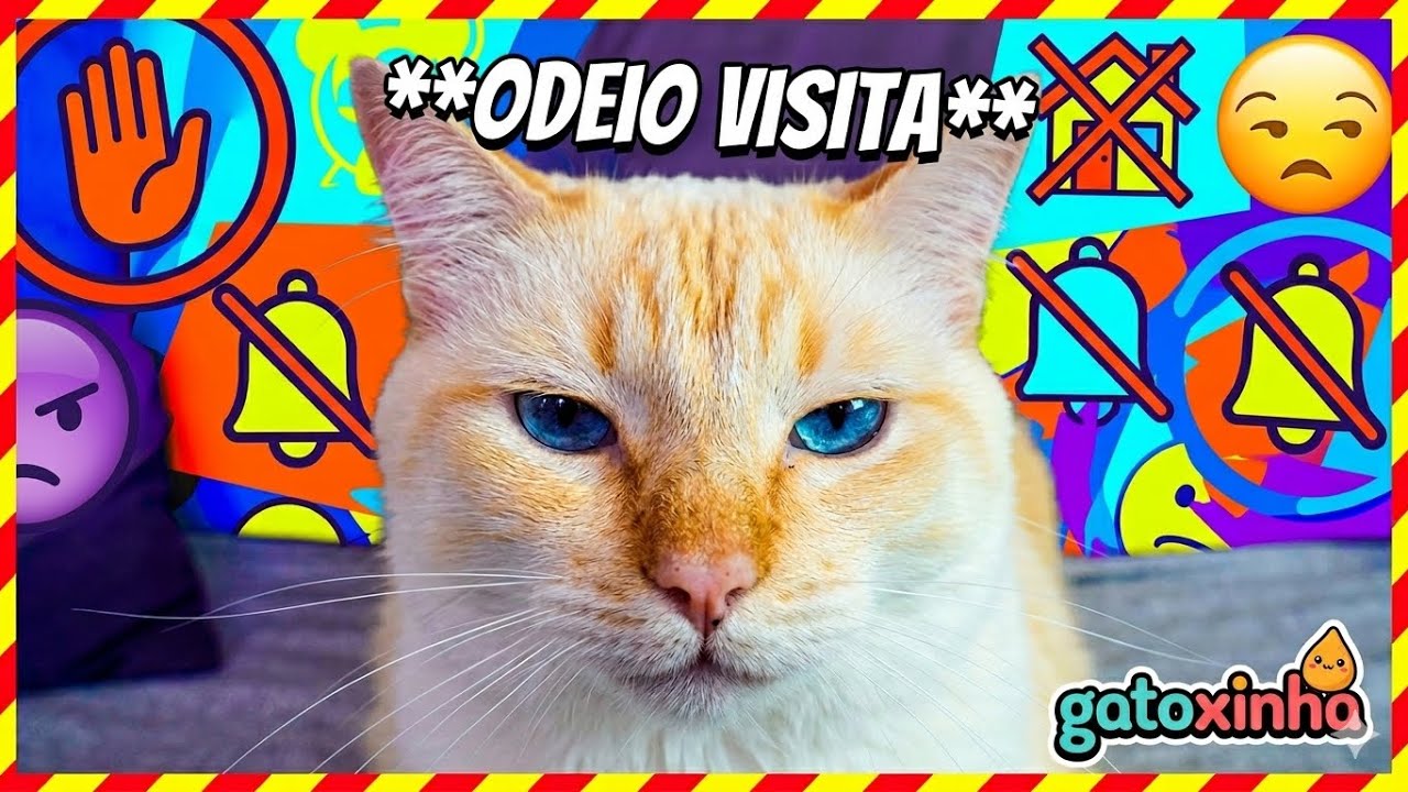 Tipos de visita (odeio todos) - Historinhas do gatoxinha 