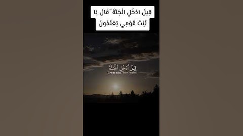 القرآن الكريم بصوت ياسر الدوسري #fy #fypシ゚ #اكسبلور #fouryou #القرآن_الكريم #المغرب #الجزائر #fy