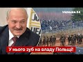 🔴ШЕЙТЕЛЬМАН: лукашенко вигадав помсту для Польщі з допомогою України / новини - Україна 24