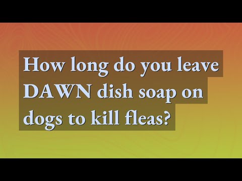 Video: Il sapone per i piatti Dawn ucciderà le termiti?