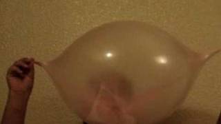 Guinness World Record Bubble Gum Blow 2