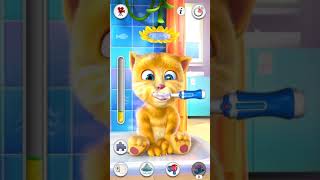 Talking ginger game - Cute cat care and bathing