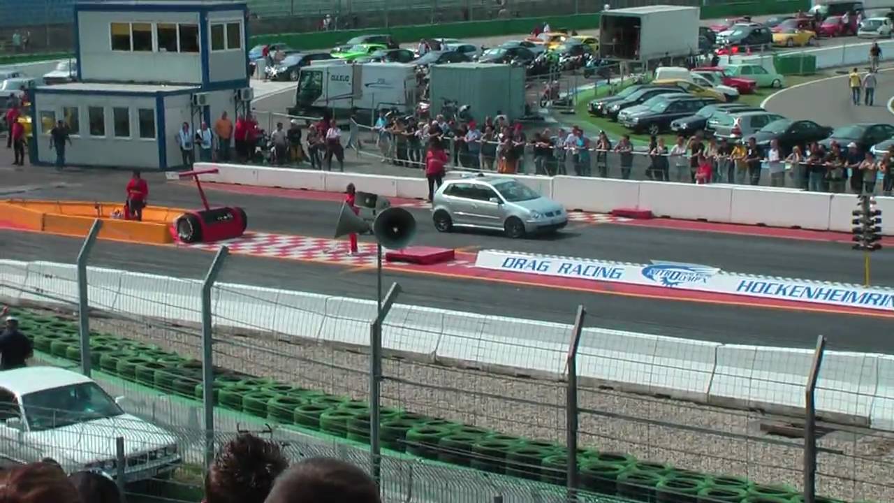 HD cucanie vtáka