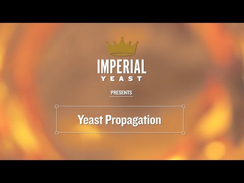 Propagation