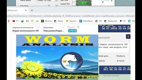 🐍WORM🐍Analysis Binary.com