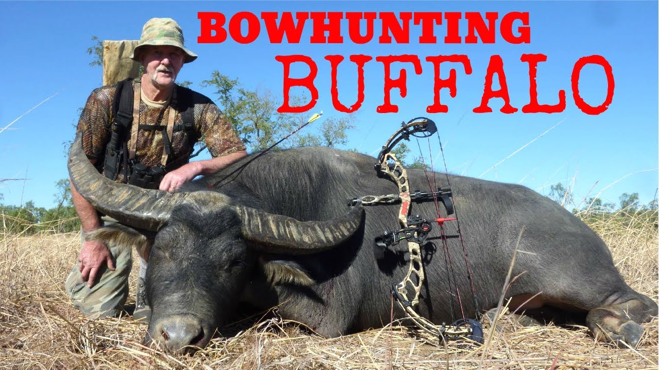 bow hunting tours australia