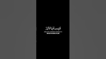 سورة الحديد #القرآن_الكريم #quran #سلمان_العتيبي #اسلام #تلاوة #الدعاء #سورة #ايات #قرآن #اية #قران