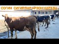 АРЗОН  СИГИРЛАР  ХАММАСИ  СОТИЛАДИ  990338688