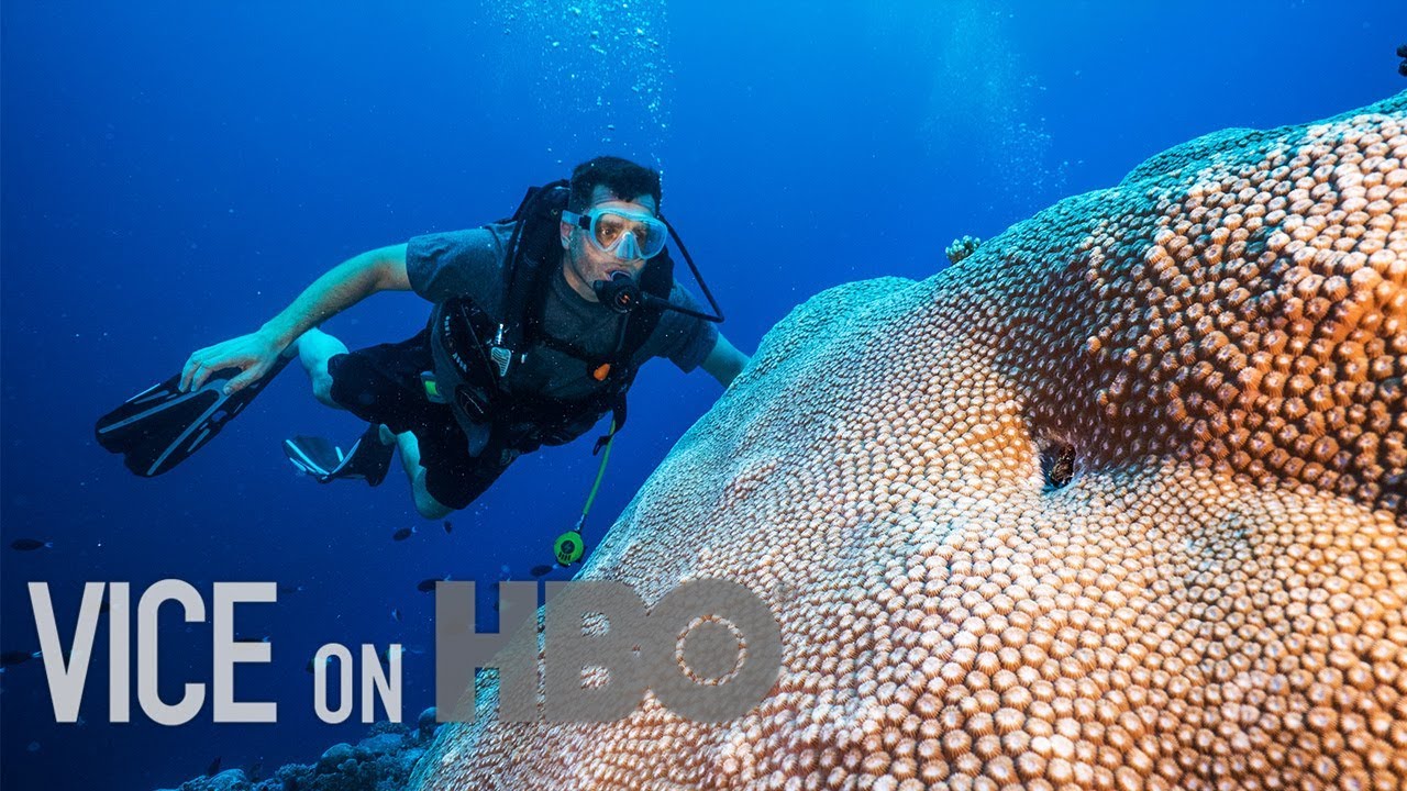 Scientists Are Breeding Super Coral That Can Survive Climate Change | VICE on HBO