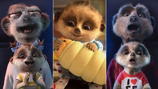 Funny Meerkat Pups Oleg and Ayana Compare The Market Commercials
