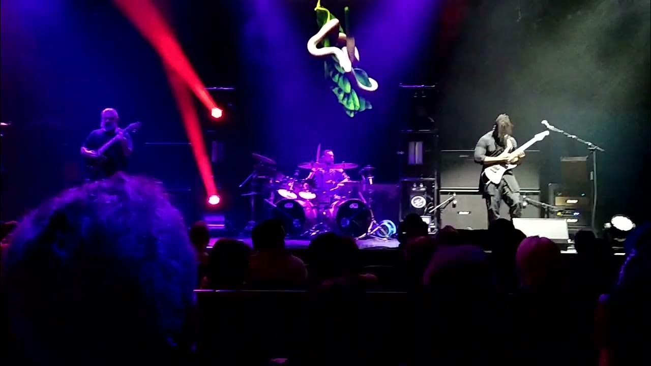 Animals As Leaders 6/21/23 Clearwater, FL. Dreamsonic Tour Pt.3 - YouTube
