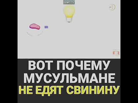 Почему мусульмане не едят днем