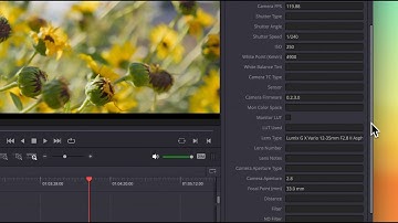 Lumix to Davinci Resolve exif metadata tool