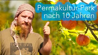 Permakultur Projekt nach 10 Jahren - Jonas Gampe