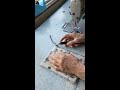 ミシンおじさんの中ファスナー付いてまっせ!