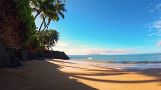 8 Hours - Tropical Beach Relaxation &amp; Calm Ocean Wave Sounds | Great Escape