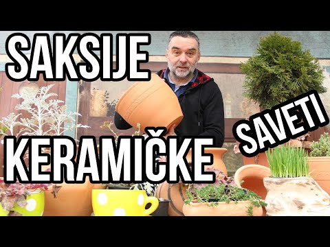 Keramičke-terakota saksije-saveti i ideje