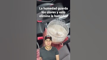 Recupera el olor a nuevo de tu coche.   #fyp