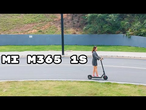 Mi M365 1S Review: King of Entry-level Electric Scooters, Period