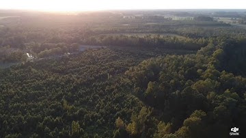 DJI SPARK.. Return to home feature., flawless