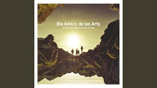 Video thumbnail of "Els Amics de les Arts - Els Ocells"