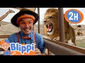 Blippi explores a safari park  blippi  educationals  moonbug kids