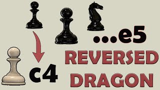 Learn Chess Openings: English Opening, King's English Variation, Reversed  Sicilian A21 