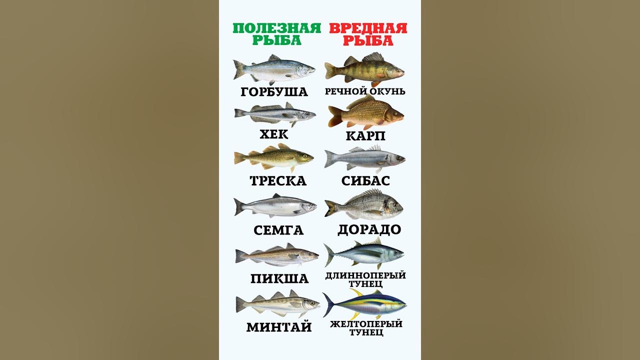 Белая рыба вред