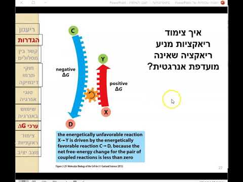 וִידֵאוֹ: כיצד מחשבים דלתא