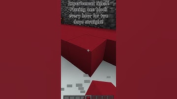 Minecraft Challenge Experiment one block every hour two days 39