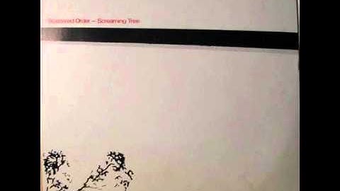 Scattered Order - Mass Murder