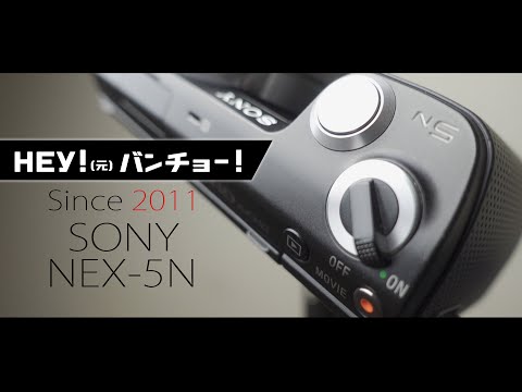 SONY NEX-5Nは高感度だけじゃなく低感度のハイライトもよく粘る