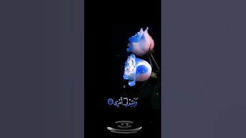 صباح الخير 💙حالات واتس اب مقاطع قصيره💙قران سورة طه رب اشرح لي صدري ويسر لي أمري💙 المنشاوي💙بدون حقوق
