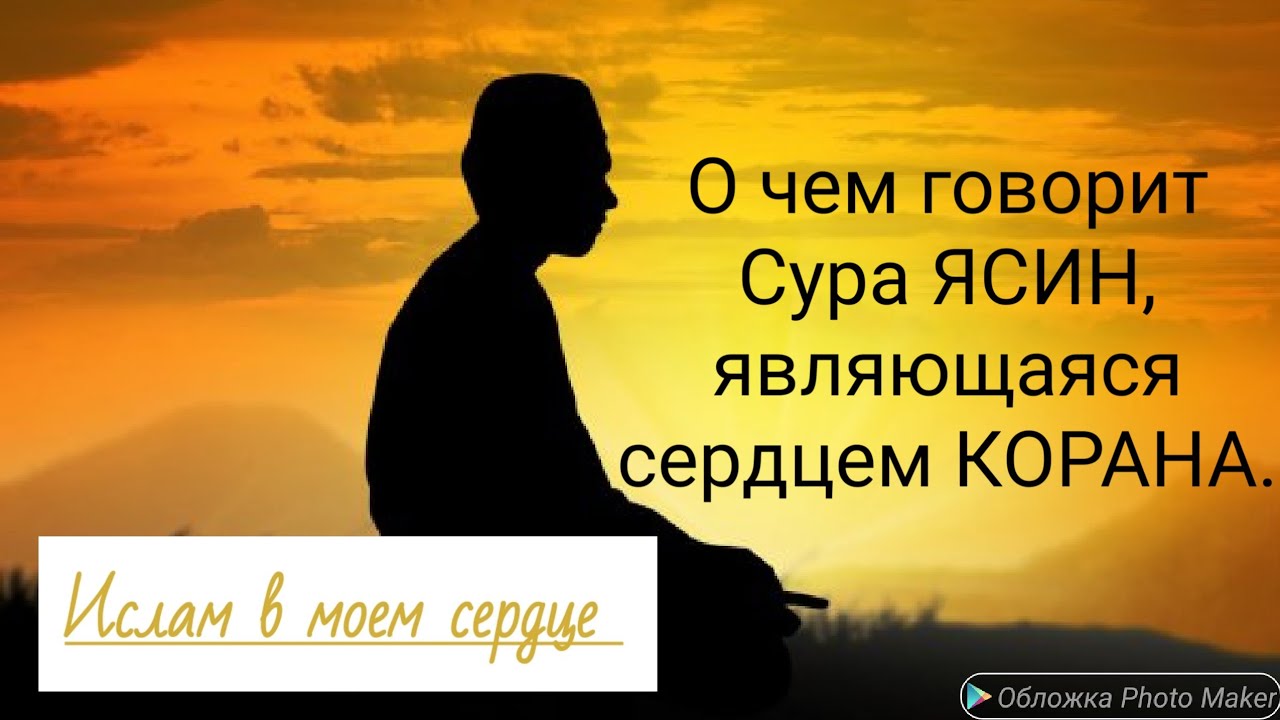 ясин от всех ваших проблем