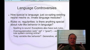 CCN Course 2020, Language 2: Controversies