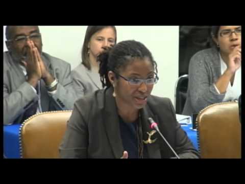 Human Rights Situation of Trans Persons of African Descent in Brazil 