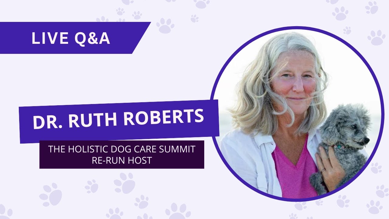 Holistic Dog Care Summit Re-run Live Q&A with Dr. Ruth Roberts - YouTube