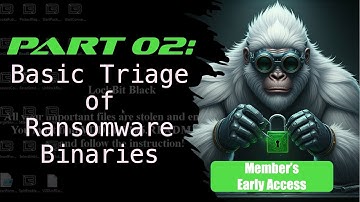 02 - Performing Basic Triage Analysis and Unpacking with x64dbg