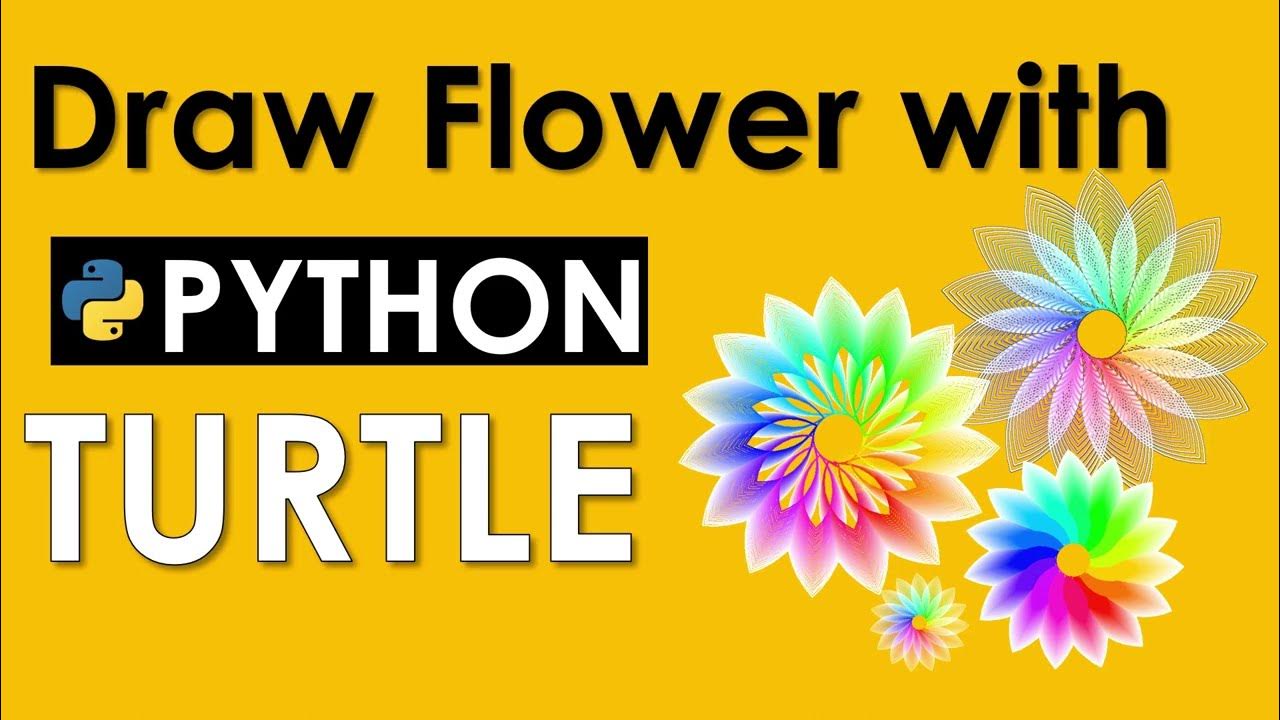 DRAW FLOWER USING PYTHON TURTLE | PYTHON TURTLE GRAPHICS | PYTHON ...