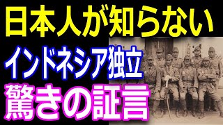 最強の零戦撃墜王 岩本徹三が訴え続けたエースパイロットの信念とは 世界が称賛する日本